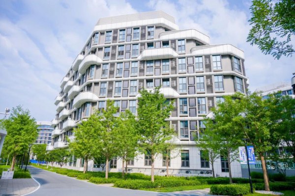 年终清点| 缓和2025——民生提质增效，人心微处见暖